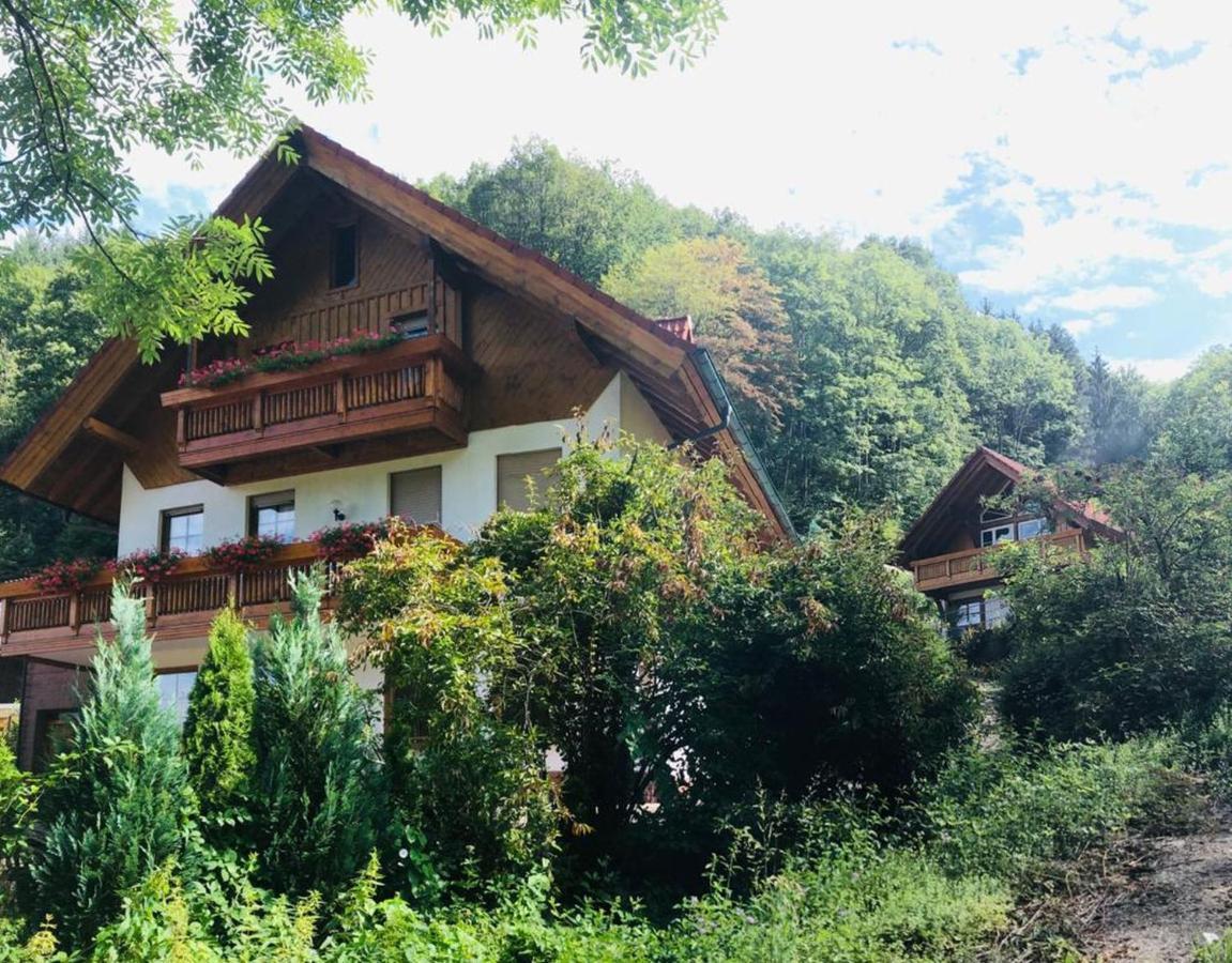 Apartamento Haus Sigmund Oberharmersbach Exterior foto
